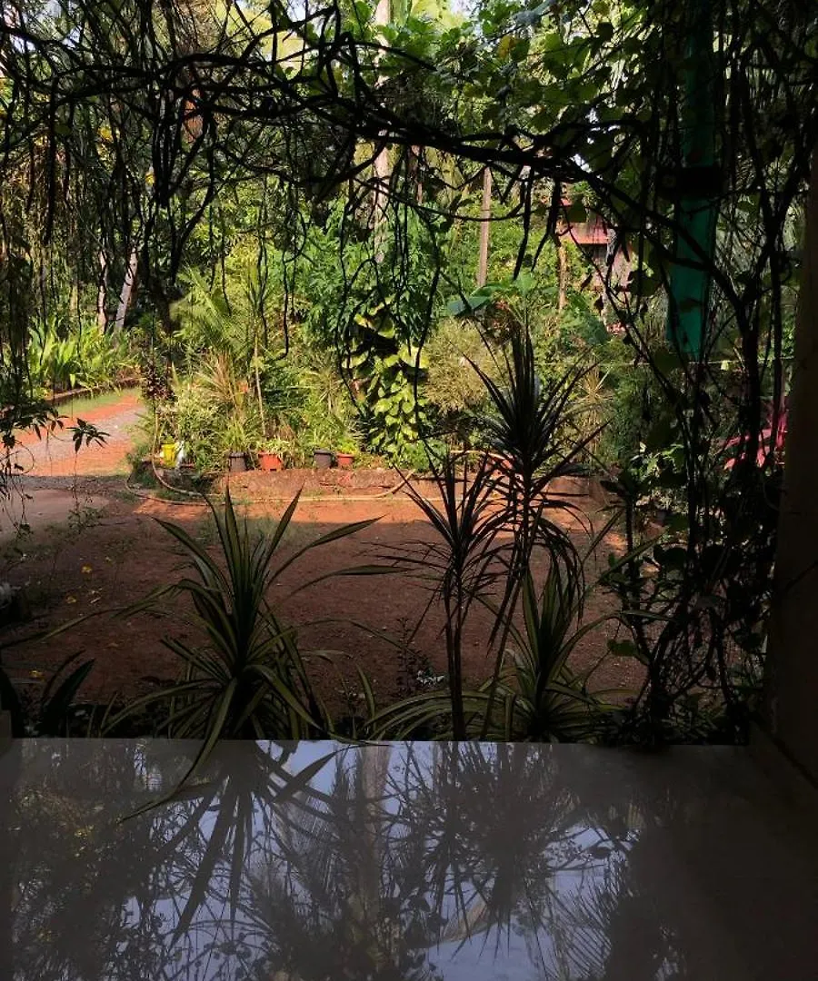 Narayanalayam-Vintage Retreat-Homestay & Rest'Inn カンヌール ゲストハウス