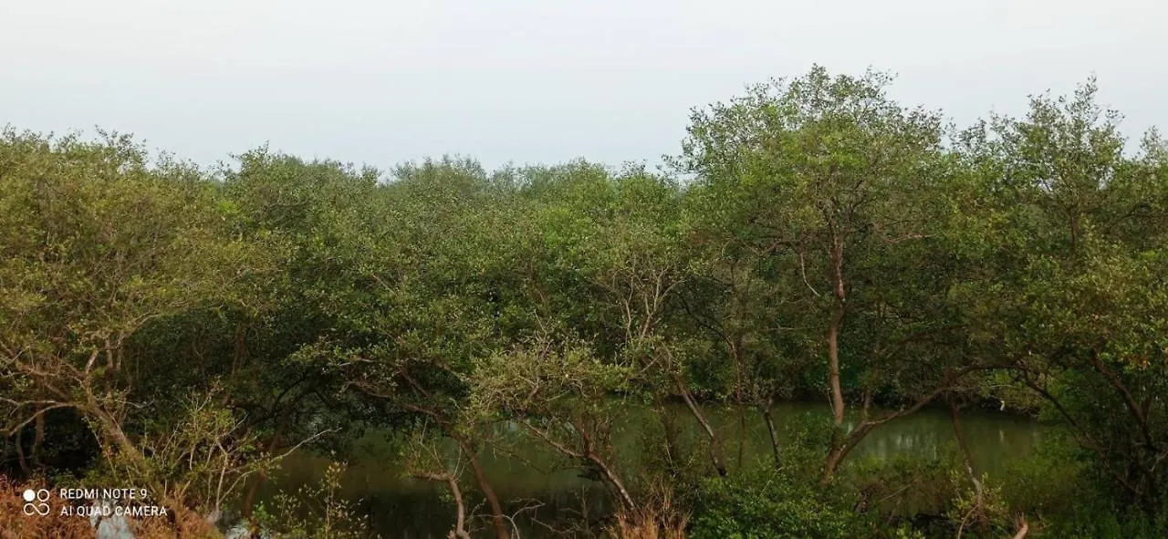 Narayanalayam-Vintage Retreat-Homestay & Rest'Inn Kannúr 0*,
